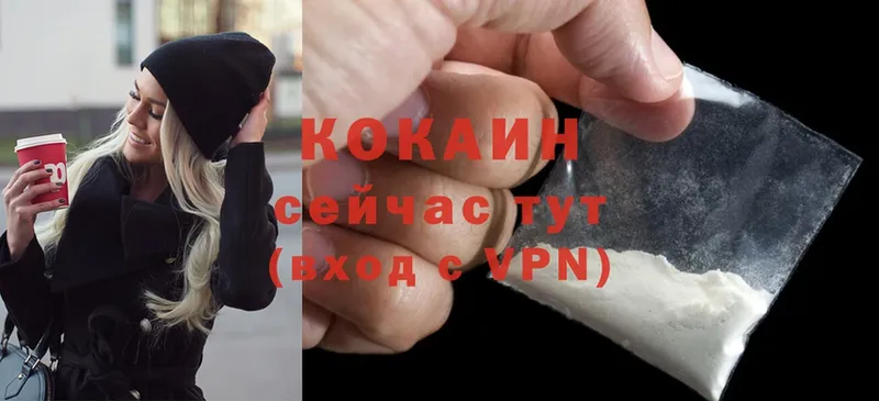 купить наркотики сайты  Волгоград  Cocaine Fish Scale 